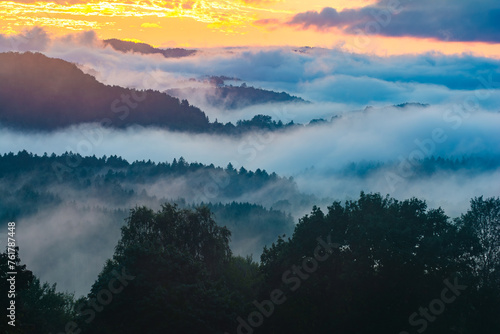 Wald und Nebel im Bayerischen Wald im Sonnenuntergang im Sommer