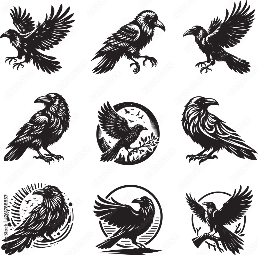 Naklejka premium Raven silhouette vector illustration set
