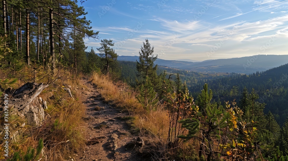 a dirt path in the middle of a forest with mountains in the background a dirt path in the middle of a forest with mountains in the background