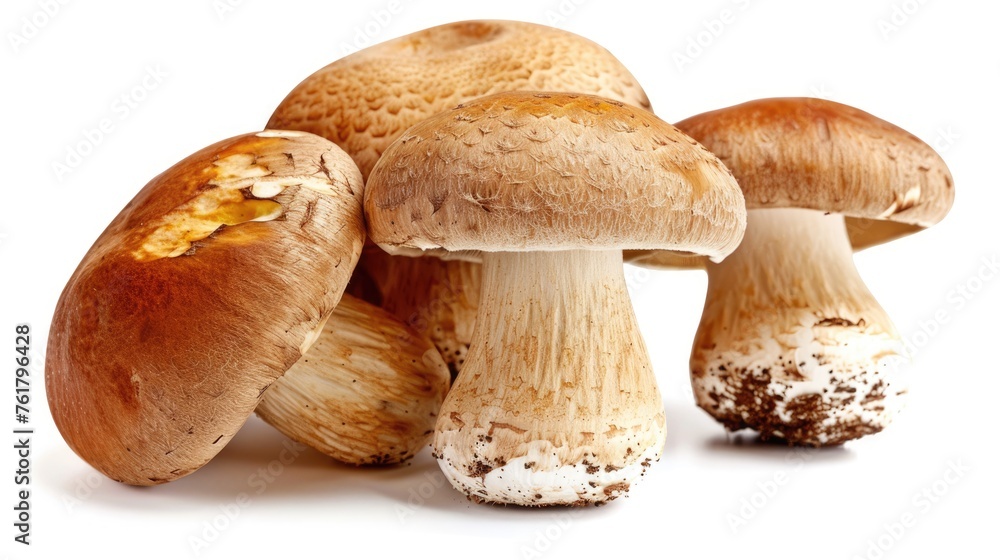 Isolated Crimini Mushrooms - Fresh and Nutritious Vegetable Cuisine Ingredient Isolated Crimini Mushrooms - Fresh and Nutritious Vegetable Cuisine Ingredient