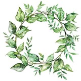 Watercolor Botanical Wreath - Hand Drawn Illustration of Green Leaves and Foliage, Perfect for Invitations, Greeting Cards, and other Floral Design Projects
