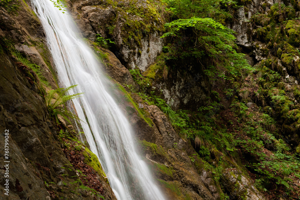 Cascade dans la forêt Cascade dans la forêt
