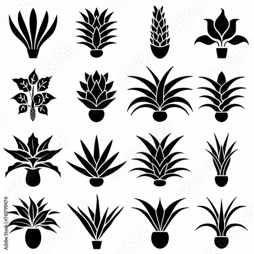 Bromeliad (Bromeliaceae genera) Pot Plant Icon Set, Bromeliaceae genera Plant Flat Design photo