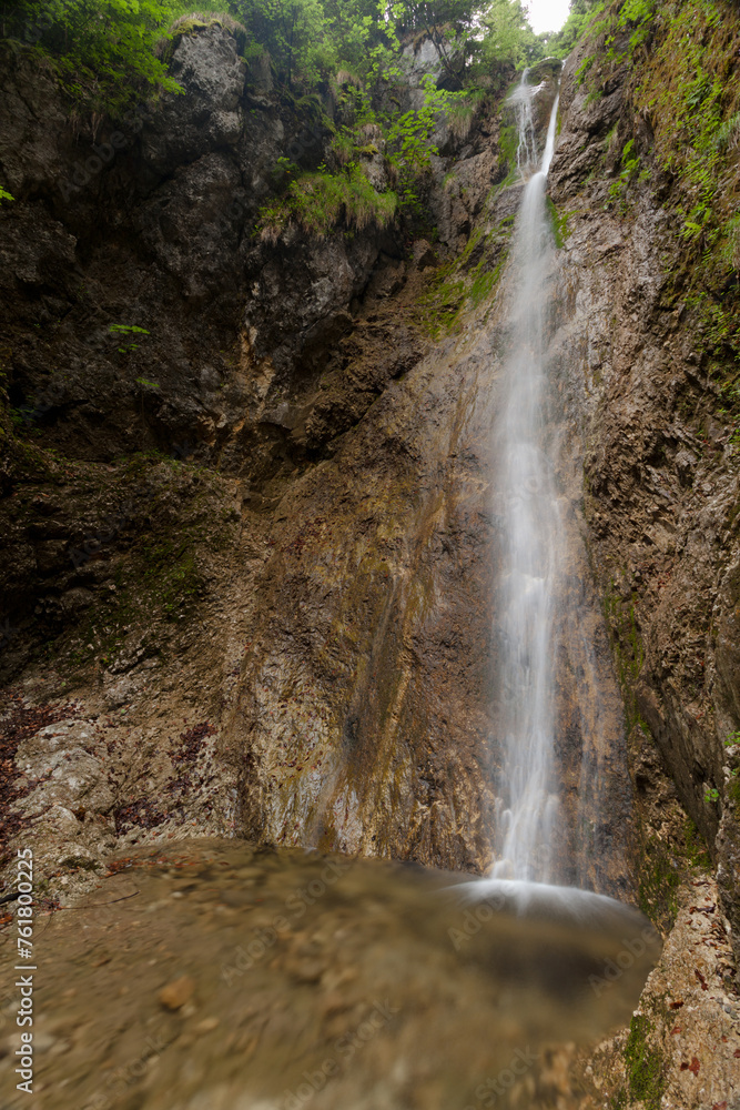 Fototapeta premium Cascade dans la forêt