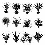 Dracaena Vand Pot Plant Icon Set, Dracaena Black White Design, Abstract Dracaena Vand Symbol