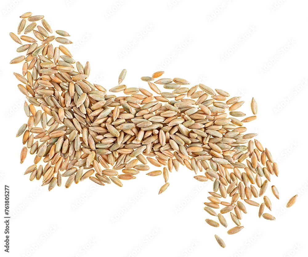 Obraz premium Rye grains isolated on a white background, view from above. Secale cereale - healthy grains and cereals.