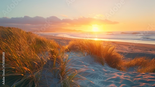 Sunset at the beach with golden dune grass in the foreground and flying birds in the distance. Peaceful coastal scenery concept. © ANStudio