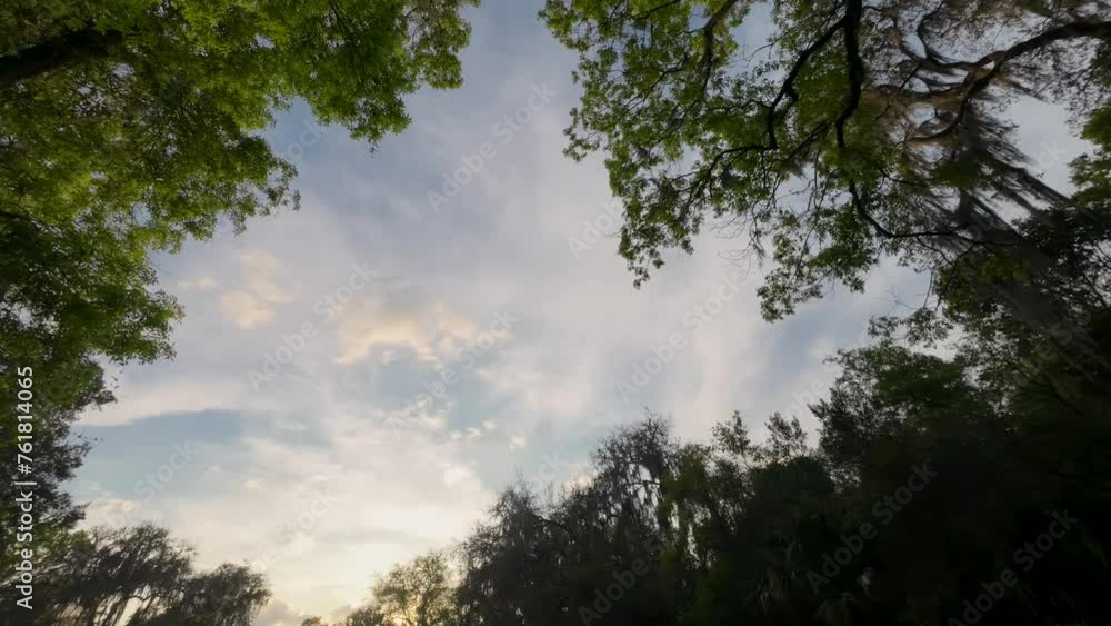 Timelapse of clouds at sunset framed between the forest Timelapse of clouds at sunset framed between the forest