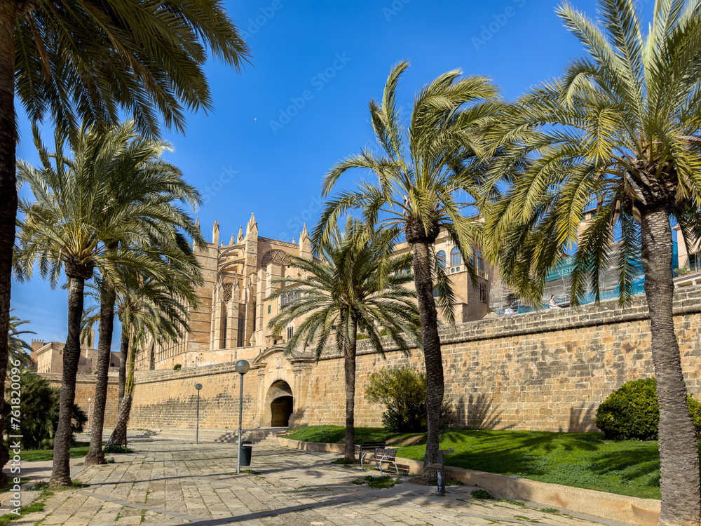 Palma de mallorca