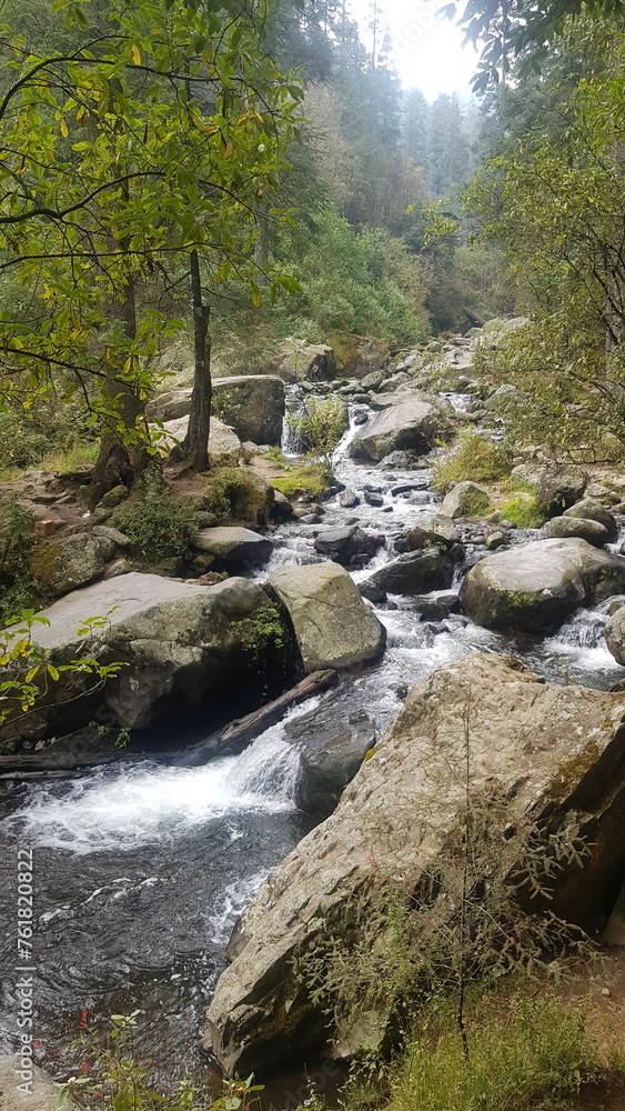 Naturaleza Naturaleza