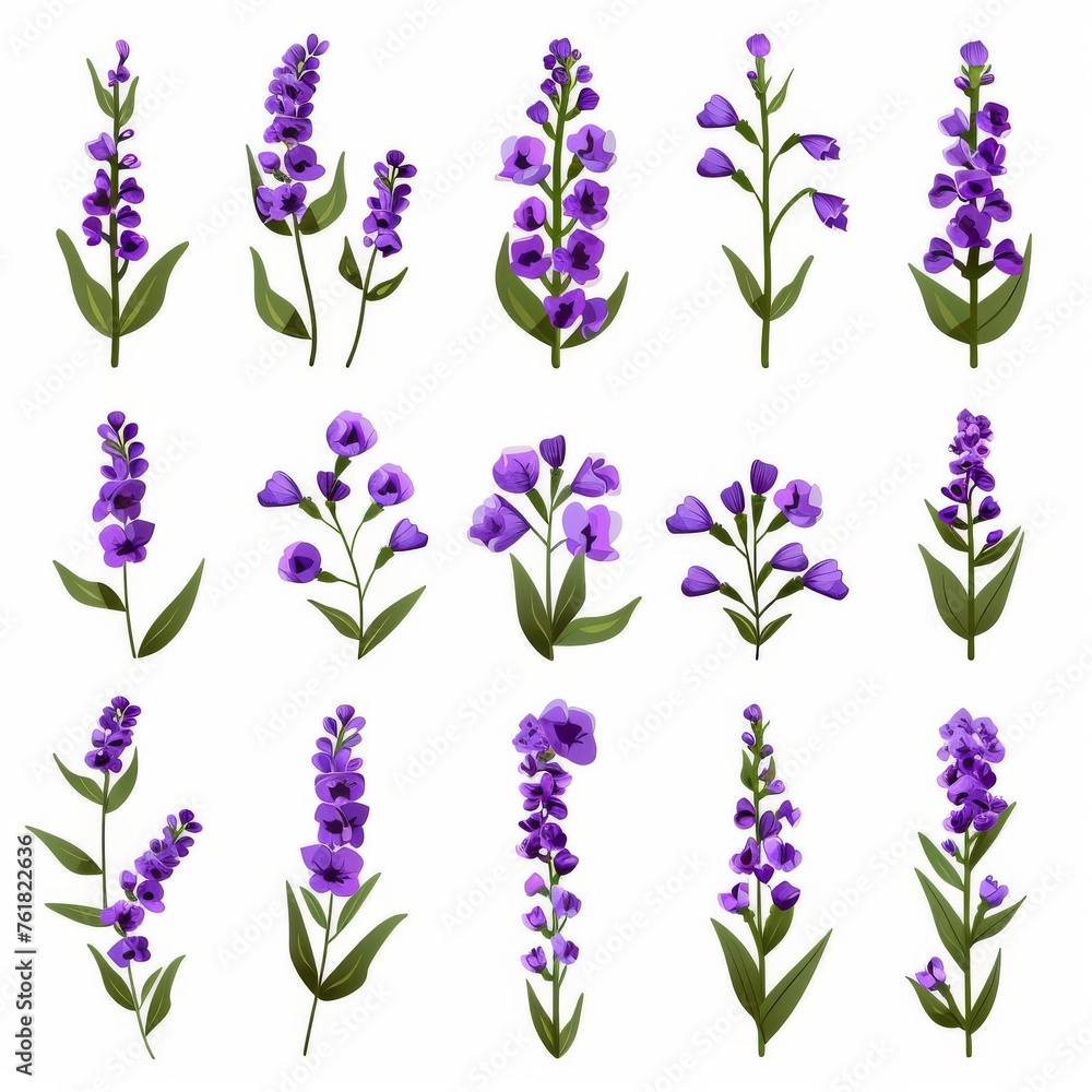 Obraz premium Statice Flower Icon Set, Garden Statice Flower Flat Design, Abstract Statice Flower Symbol