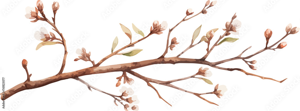 Watercolor illustration willow branches and tree branch without leaves. Brown dry straight twig. Isolated on a white background. Spring floral easter elements. For holiday print design