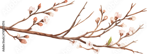 Watercolor illustration willow branches and tree branch without leaves. Brown dry straight twig. Isolated on a white background. Spring floral easter elements. For holiday print design