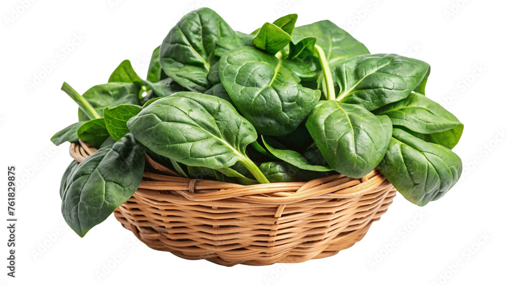Spinach in the basket isolated on Transparent background. Spinach in the basket isolated on Transparent background.
