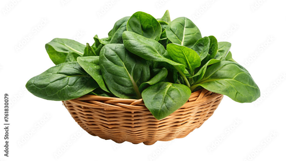 Spinach in the basket isolated on Transparent background. Spinach in the basket isolated on Transparent background.