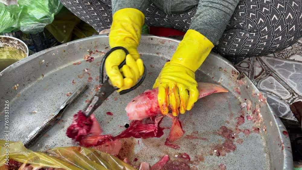 Tilapia fish of the Apostle Peter Christ fish Vietnamese market The seller stuns the fish and