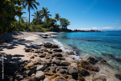 Sunny day at a tropical beach with palm trees, rocks, and clear blue water