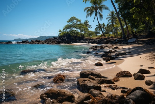 Rocky beach with palm trees, waves crashing, water, sky, and natural landscape