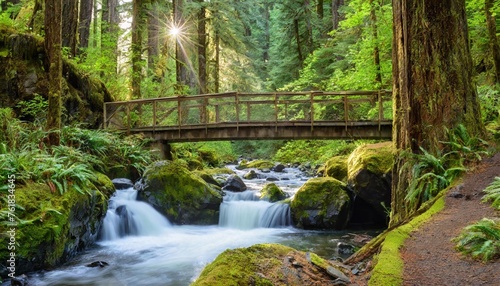 washington state olympic national park sol duc valley rainforest with trail and bridge over stream photo