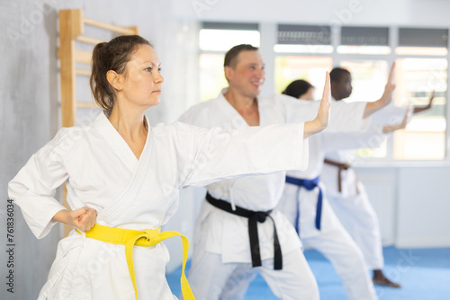 Group of multiethnic karate people practicing karate technique in gym