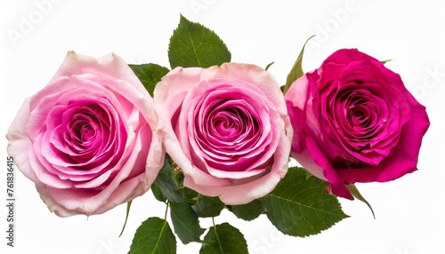 three pink roses isolated on white background closeup rose flower bouquet inr without shadow top view flat lay