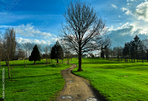 Green grass and sunlit trees beside a winding pathway in a park in London