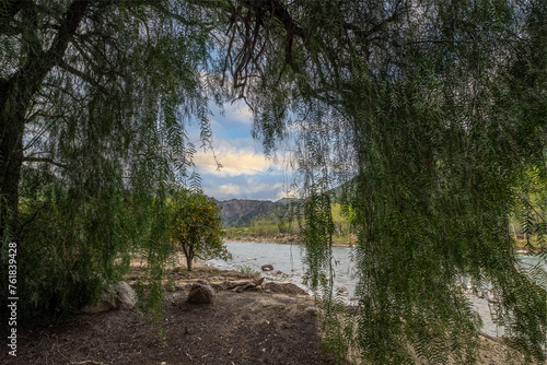 Willow tree along the bank of a flowing river arches to frame the scene of sky and hills © motionshooter