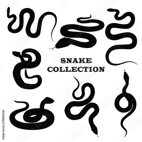 silhouette venomous snake or snake collection or desert snake and snake on the water. snake silhouette flat logo icon vector illustration clipart. Snake silhouette set. Isolated snake silhouette 