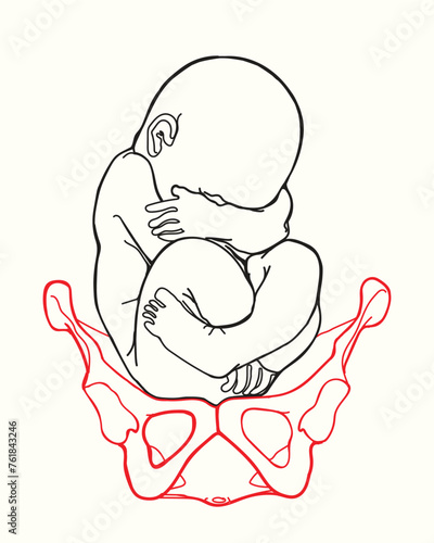 Single one line drawing beautiful new born baby resting on mom's womb. Tiny newborn baby's and female pelvis. Happy mom and her child. Modern continuous line draw design graphic vector illustration 