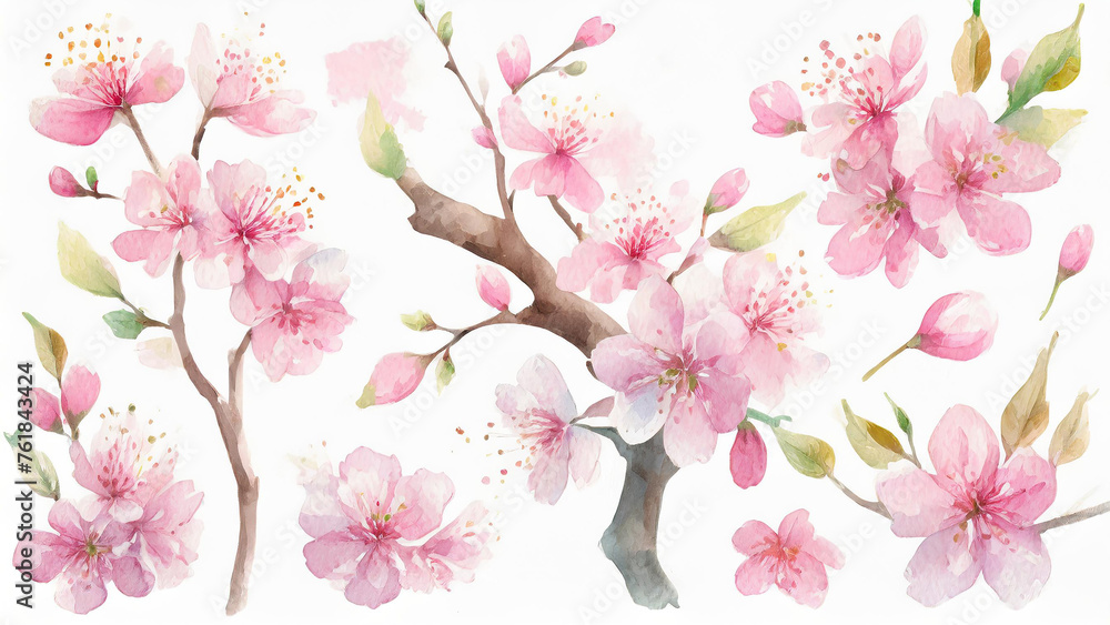 Illustration aquarelle de branches de fleurs de cerisier rose - obrazy, fototapety, plakaty 