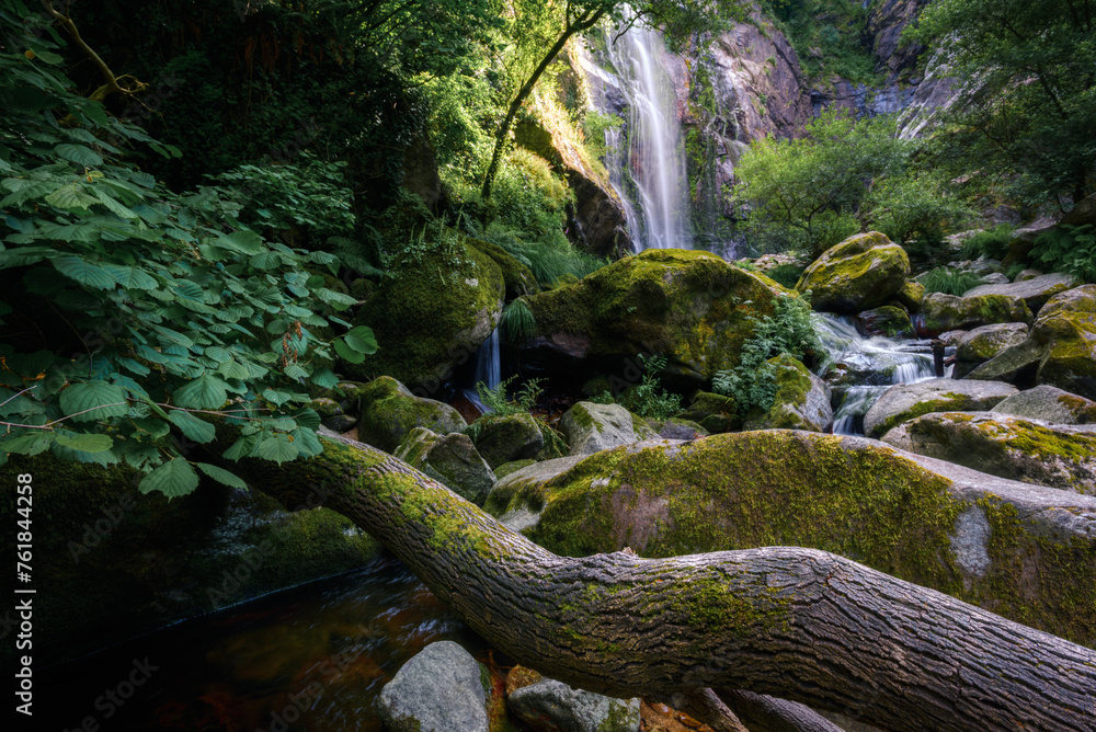A fallen trunk in the course of the stream that forms the Toxa waterfall A fallen trunk in the course of the stream that forms the Toxa waterfall