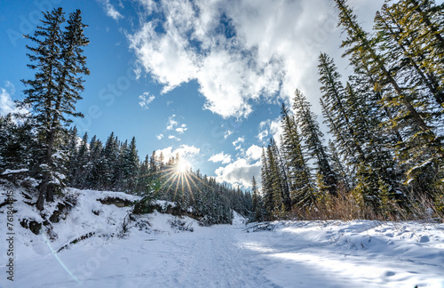 Snowy winter forest landscape on a sunny summer day with a  bright sun star and blue sky.