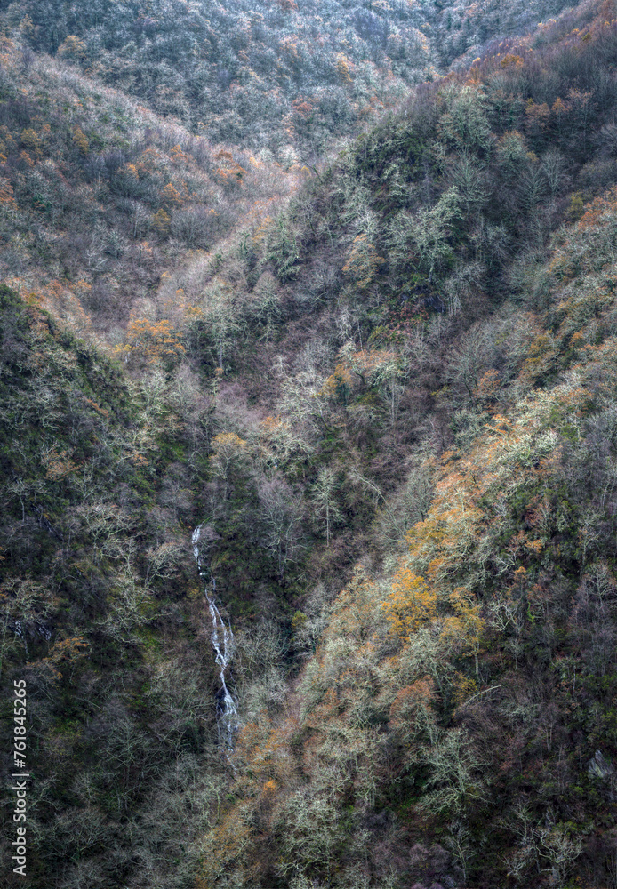 Intertwined mountain slopes covered with native deciduous forest Intertwined mountain slopes covered with native deciduous forest