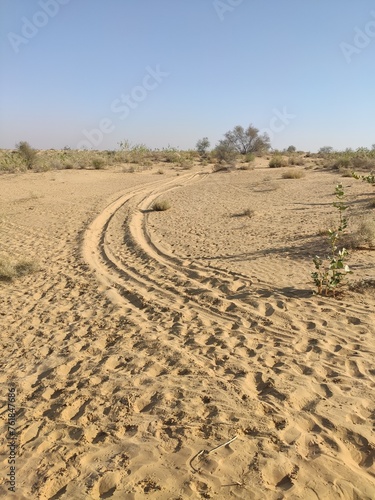 Marche en plein milieu d'un grand désert indien, dune de sable, avec sa végétation, bâton, cailloux, groupe de personnes, matinée, détente touristique, traces de pas, effort physique, exploration