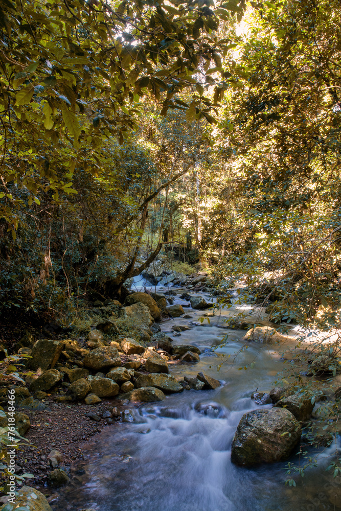 Immerse yourself in Springbrook National Park, SE Queensland, adorned with lush rainforest, creeks, and enchanting waterfalls, Australia Immerse yourself in Springbrook National Park, SE Queensland, adorned with lush rainforest, creeks, and enchanting waterfalls, Australia