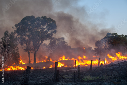 Bush fire in South East Queensland, Australia