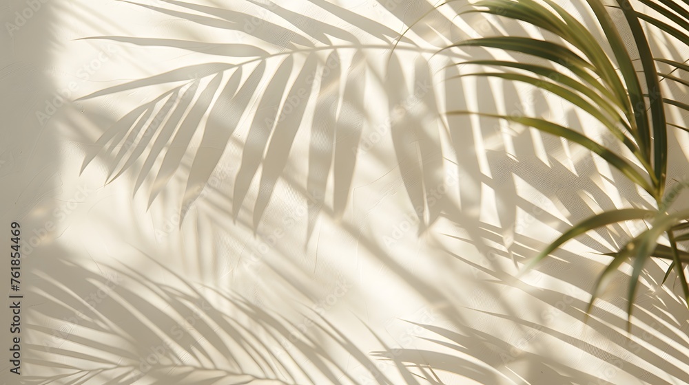 Obraz premium palm tree branch