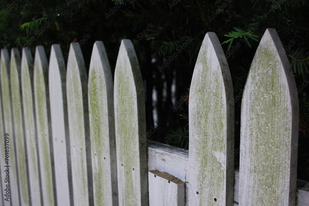 wooden fence wooden fence