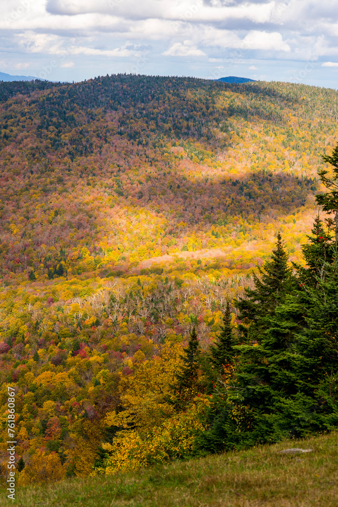 Fototapeta premium Fall season on Mont Sutton in Quebc Canada