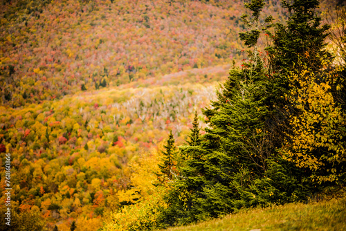 Fall season on Mont Sutton in Quebc Canada