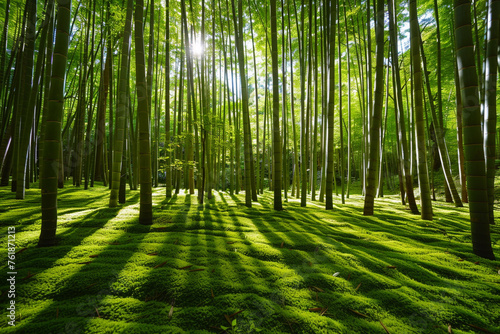A peaceful bamboo forest, with the sun filtering through the tall, slender stalks, casting shadows on the forest floor that is a lush, vivid shade of lime green.