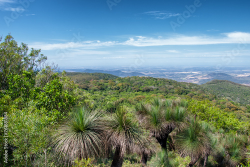 Bushwalking in the Bunya Mountains of South East Queensland offers a journey through lush rainforest  towering bunya pines  and panoramic vistas  inviting adventure seekers into nature s embrace.