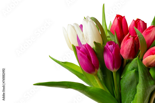 Bouquet of tulips isolated on transparent background