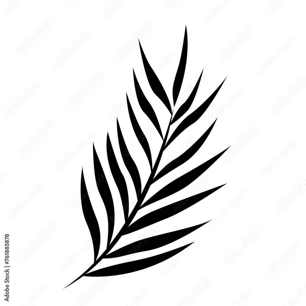 An illustration of a palm leaf