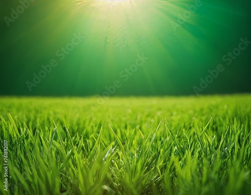 Green grass  on a green background. Spring and summer concept. closeup grass texture  blurred background  sun rays. Nature concept. Copy space for text.