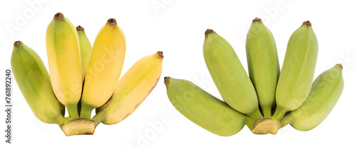 Banana or Cultivated banana on transparent background. photo