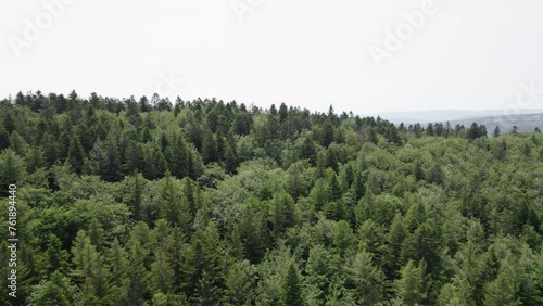 Flying Above Dense Pine Forest Over Valleys In Ardeche River, France. Aerial Drone Shot