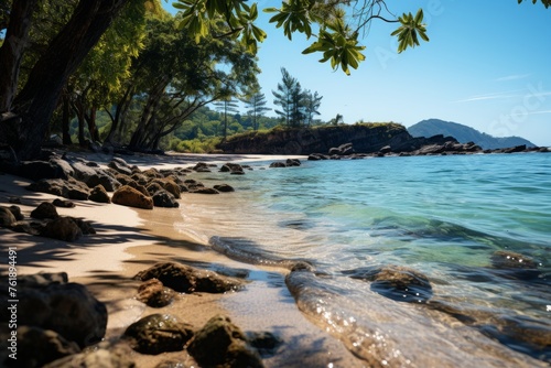Beach with trees, rocks, and water create a natural coastal landscape