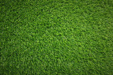 Fresh green grass as background outdoors, top view