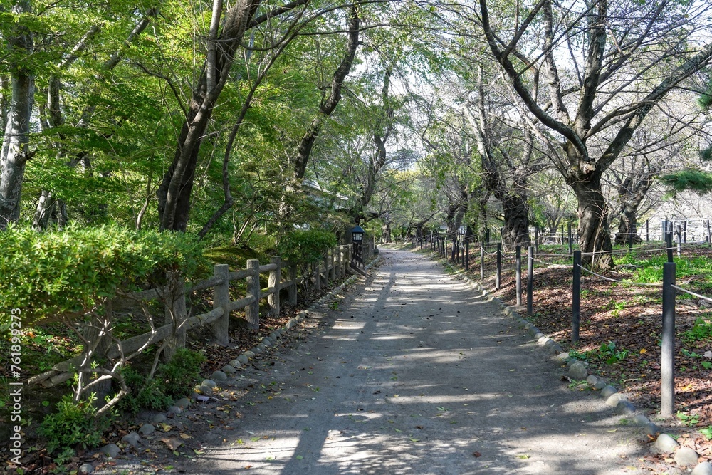 Naklejka premium 静寂に包まれた秋の公園の情景